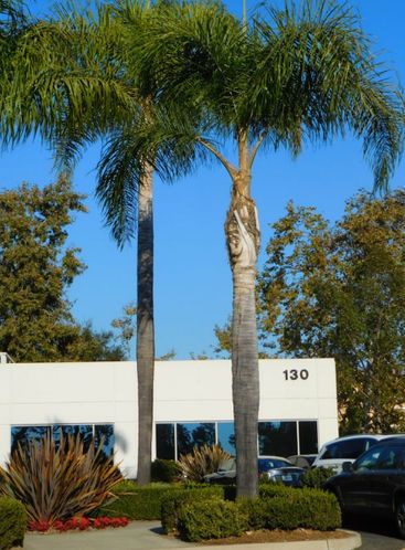 Castilian Technical Center: 130 Castilian Dr, Goleta, CA 93117